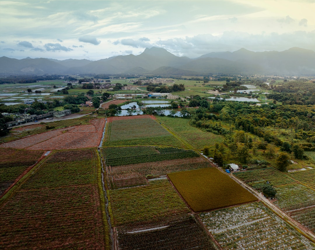 aerial-view-of-agricultural-fields-with-mountains-beyond-lng4q0te0h4